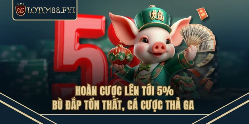 Hoàn Cược Lên Tới 5% - Bù Đắp Tổn Thất, Cá Cược Thả Ga 