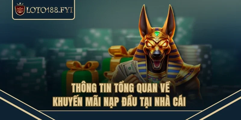 Thông tin tổng quan về khuyến mãi nạp đầu tại nhà cái 