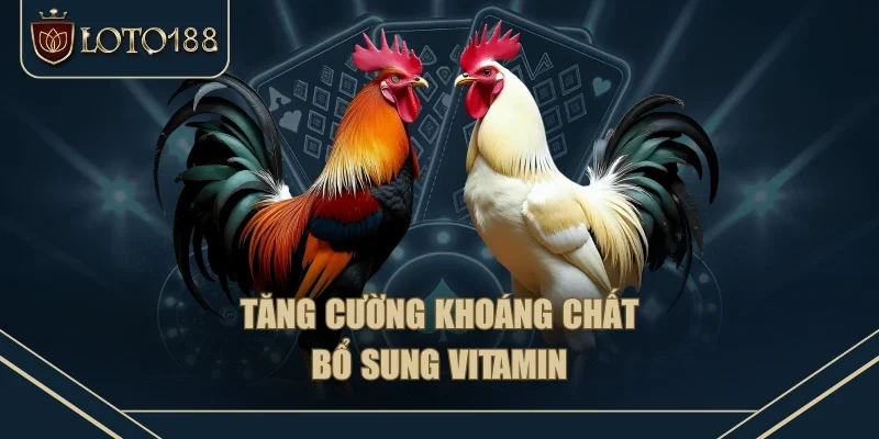 Tăng cường khoáng chất, bổ sung vitamin Tăng cường khoáng chất, bổ sung vitamin